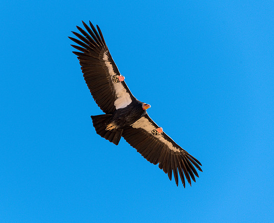 850_5573