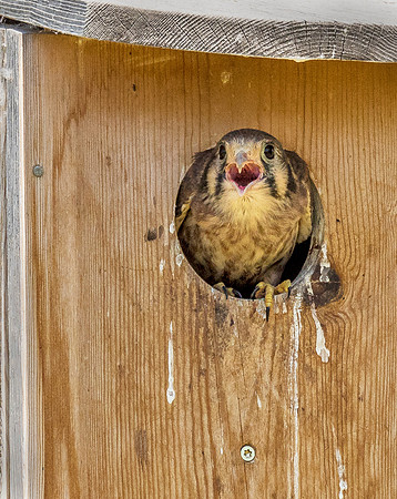 DSC_1662