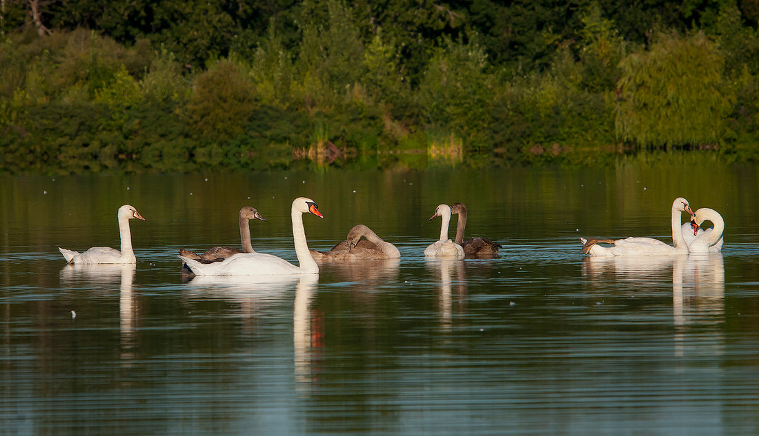 _DSC6615_0675ws