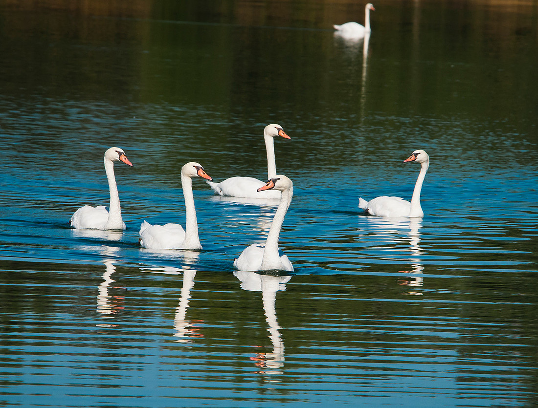_DSC6899_0614ws