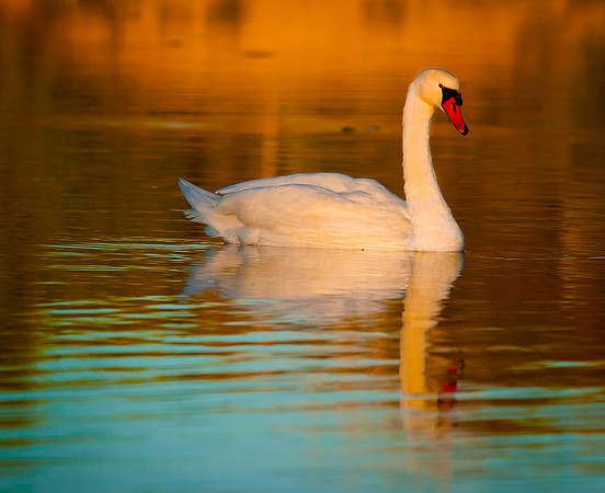 _DSC8480_1437ws