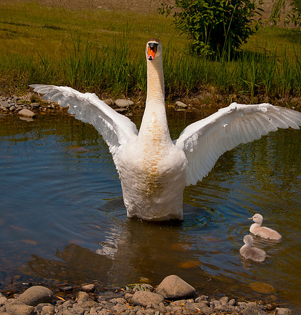 _DSC7761ws