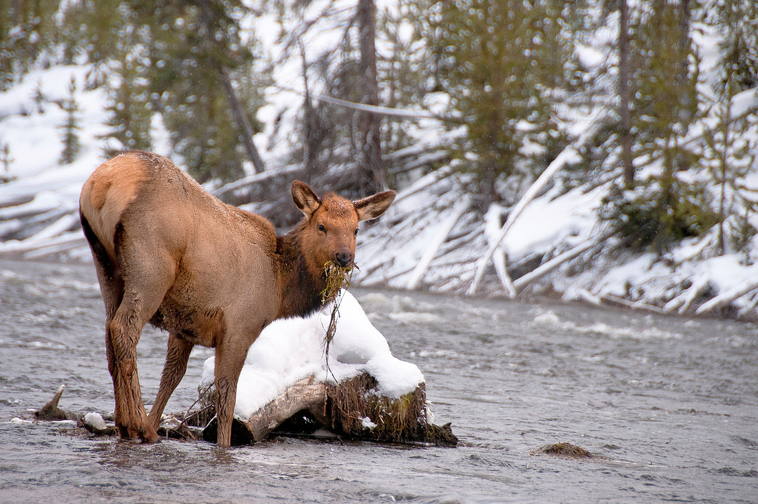 _DSC1548_2658
