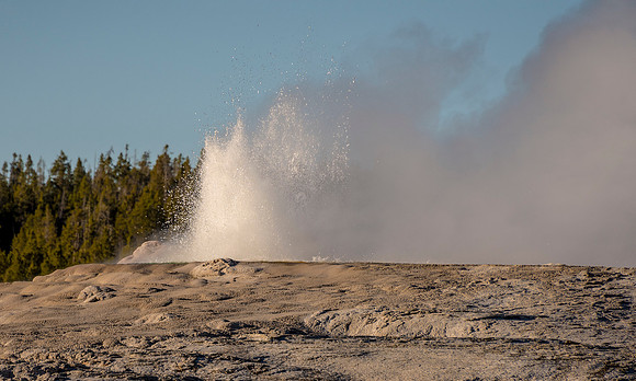DSC_0166ws