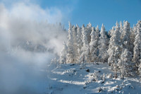 _DSC1989_2971ws