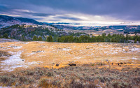 DSC_0016ws