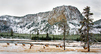 DSC_1206ws