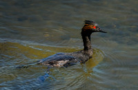 850_5808ws