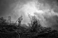 The Volunteer