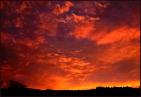 Five Alarm Skyws