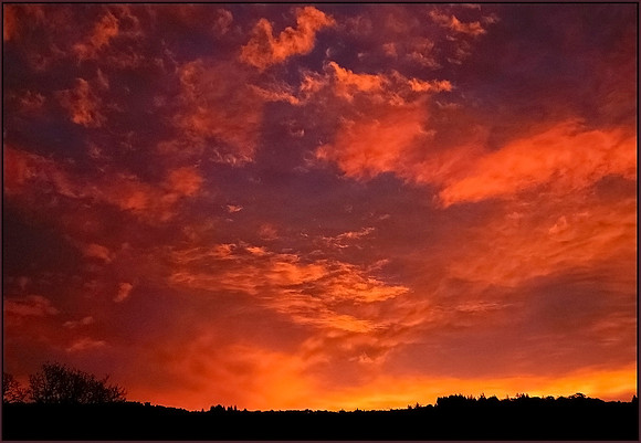 Five Alarm Skyws