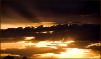 Golden Cloudsws