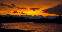 Madison River Gold ws