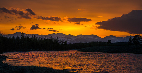 Madison River Gold ws