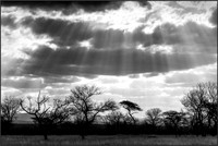 Shards of a Broken Cloudws
