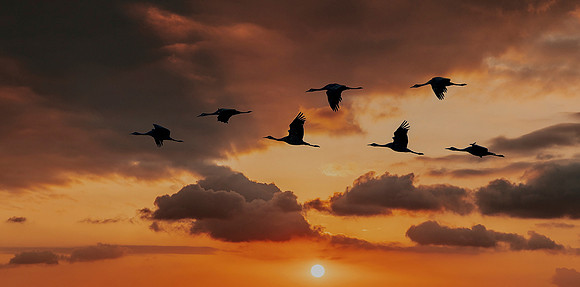 Sunset Sandhills comp ws