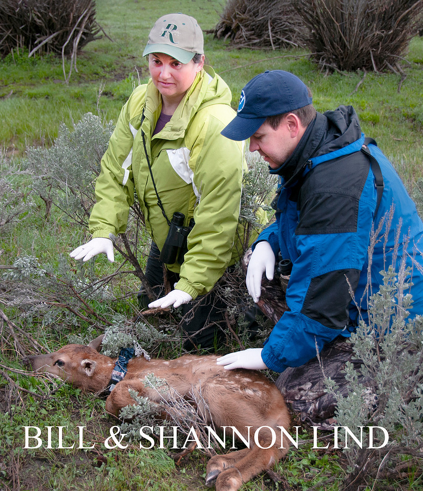 BILL AND SHANNON LIND