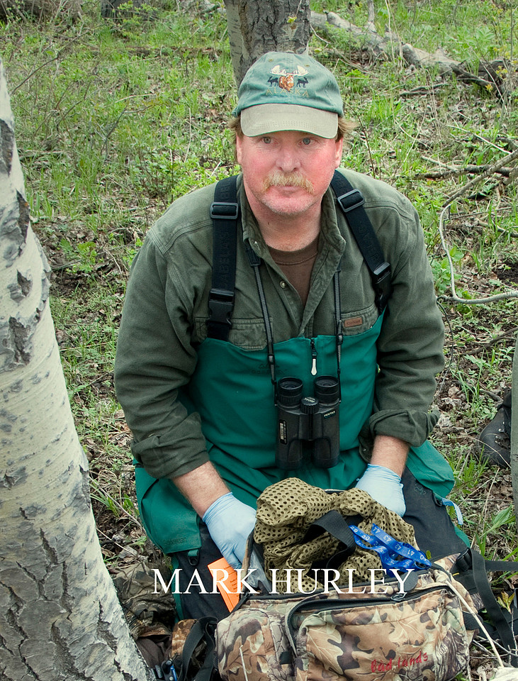 Mark Hurley ws