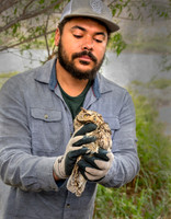 Screech Owl Banding with BLM
