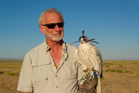 Mike Garets: Raptor Specialist and Master Falconer