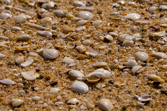 Spain Trip SS_0173