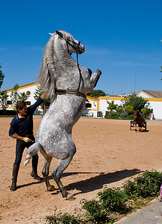Spain Trip SS_0272