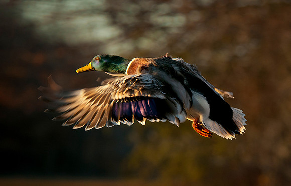_DSC0505_2156 ws