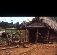 File006803