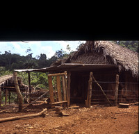 File006803