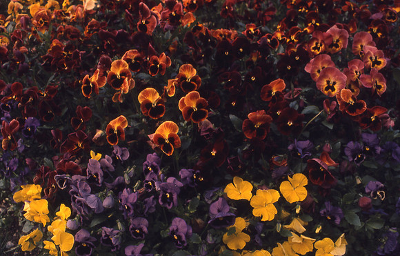 File0002