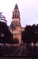 FileA0005