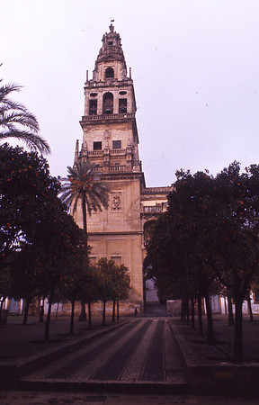 FileA0005