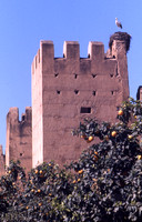Filef0012