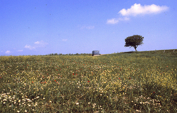 FileZB0004
