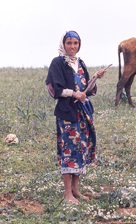 FileZB0012