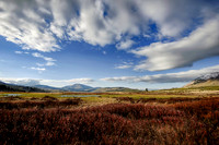 DSC_0369_HDR