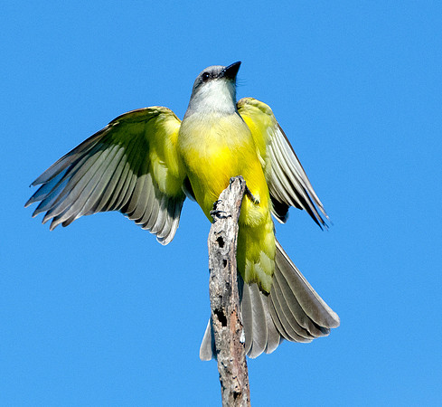 850_2568ebws