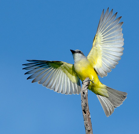 850_2576ebws