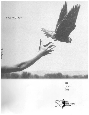 SCAN_20230509_115021328