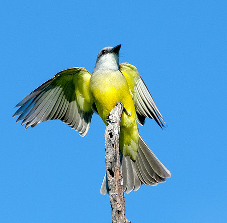 850_2568ebW