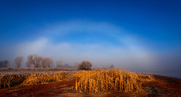 Fog bow