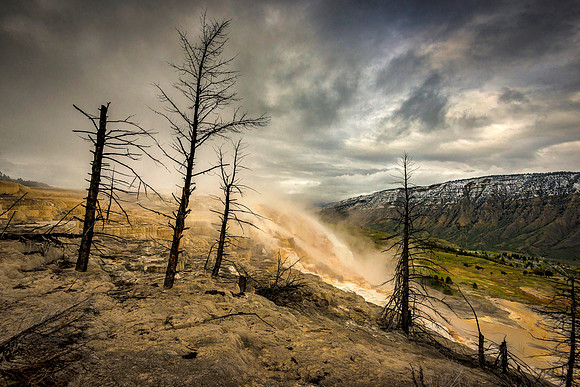 The Dark Side Of Mammoth