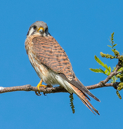 DSC_0546
