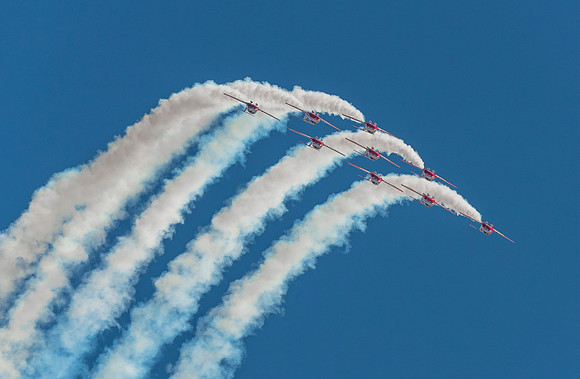 DSC_9520