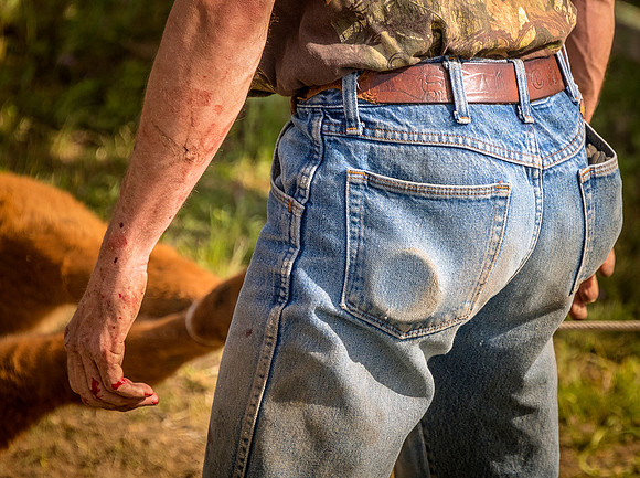 DSC_3830