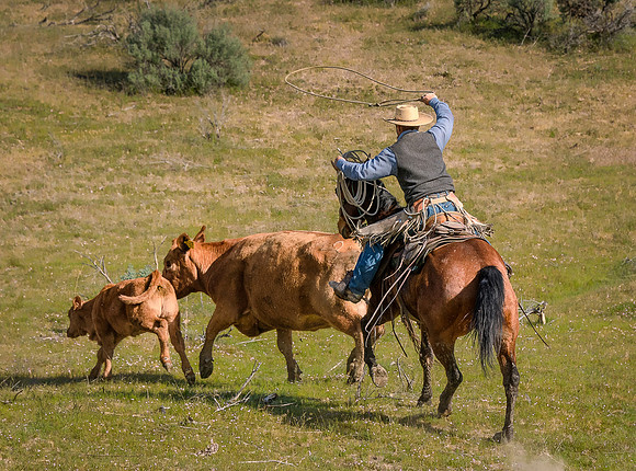DSC_3532