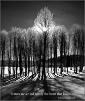 The Heart of Nature ws