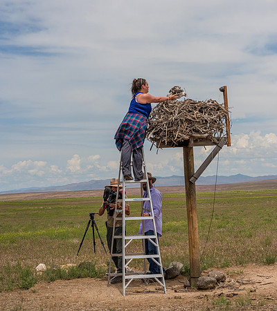 810_4263