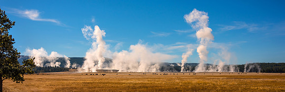 Geyser Show Ignored 52