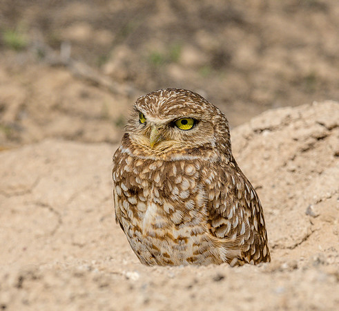 850_3551